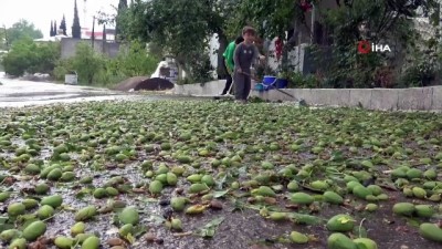 pinarli -   Mersin'de 1 saat yağan dolu afete dönüştü Videosu