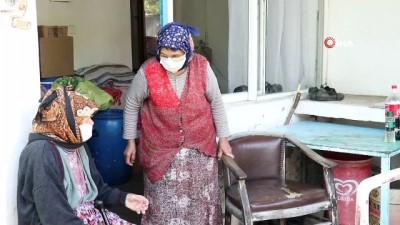 asirlik cinar -   Asırlık çınarlar ve Şehit anneleri ziyaret edildi Videosu