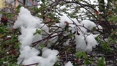  Batıda yaz doğuda kış