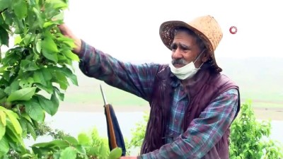 ilkbahar -  Robinson Ziya dede 4 saatlik izinde adasına koştu Videosu