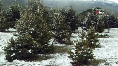  Kar Posof’u terk etmiyor