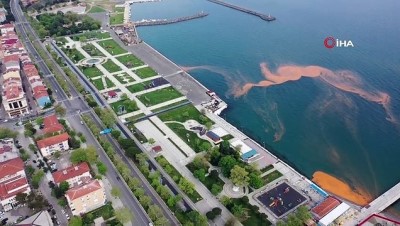 ekolojik -  Marmara Denizi yine turuncuya büründü Videosu