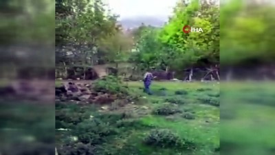 dovme -  Sinop’ta köpeğini kürekle döverek telef eden kişiye 947 TL ceza Videosu