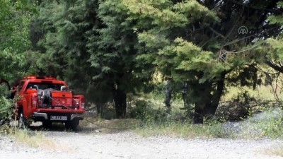 yuksek gerilim hatti - Ağaçlık alanda yüksek gerilim hattından çıkan yangın söndürüldü - MUĞLA Videosu