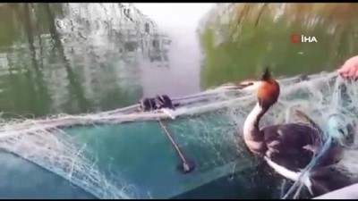  Altınapa barajında avlanma denetimi