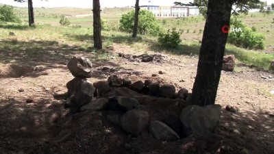 sokak kopekleri -  Ankara'da çocuk cesedi iddiası korkuttu Videosu