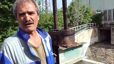 felaket -  Beyşehir’de tedirgin eden toplu balık ölümleri Videosu