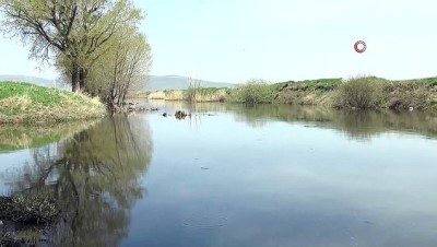 saganak yagmur -  Erzurum ovası göle dönüştü Videosu