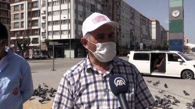 Eskişehir'de kuş ve köpekler için sokağa yiyecek bırakılıyor - ESKİŞEHİR