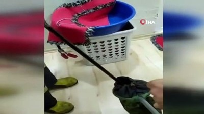  Eve giren yılan banyoda yakalandı