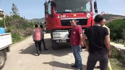 orman alani -  Kozan'da 1 hektarlık orman alanı yandı Videosu
