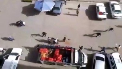 kacis -  Şanlıurfa’da arazi kavgasında kan aktı Videosu