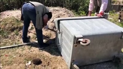  Anne kirpi ve yavruları çöpte ölüme terk edildi