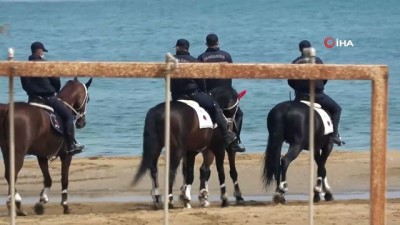  Jandarmanın atlı timlerinden plajlarda denetleme