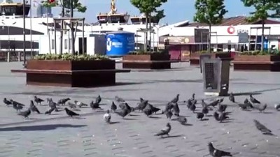   Trafik polisleri sokağa çıkma kısıtlamasında güvercinleri unutmadı