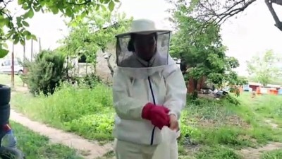 propolis - 'Altın kızlarım' dediği arılarıyla patroniçe oldu (1) - KIRKLARELİ Videosu