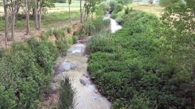 olu balik - Çokal Barajı'nda çok sayıda ölü balık kıyıya vurdu - TEKİRDAĞ Videosu