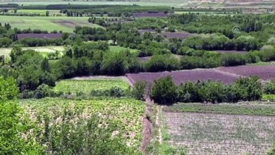 eziler - 'Dünya mirası' Hevsel Bahçeleri'ne dökülen hafriyatın kaldırılma çalışması sürüyor - DİYARBAKIR Videosu