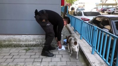 Emniyetin sevimli köpeği 'Pakize' 11 yıldır polislerden ayrılmıyor - AYDIN