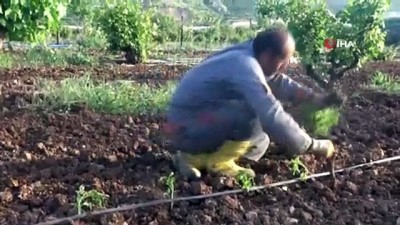  Gercüşlü çiftçiler korona virüse rağmen üretime devam ediyor