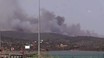 Milas'ta  orman yangını (3) - MUĞLA