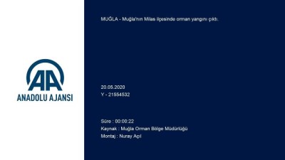 Milas'ta orman yangını - MUĞLA