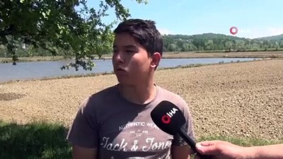 gubre -  Türkiye'nin en kuzeyi Sinop’ta çeltik ekimi başladı Videosu