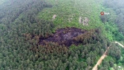  Aydos'ta yanan ormanlık alan böyle görüntülendi