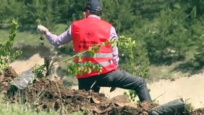 ozel guvenlik - Fedakar sağlık kahramanları için 'hatıra ormanı' oluşturuldu - ERZURUM Videosu