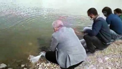 Göletlere 180 bin sazan yavrusu bırakıldı - VAN