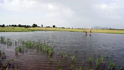 balik tutma - Gölette kaybolan kişinin cesedi bulundu - UŞAK Videosu