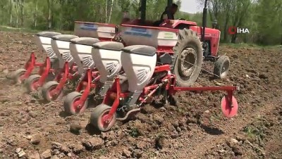 misir tohumu -  İpekyolu Belediyesinin tarımsal desteği çiftçinin yüzünü güldürüyor Videosu