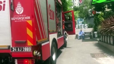 hava sicakliklari -  İstanbul’un göbeğinde yılan paniği Videosu