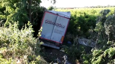 Kontrolden çıkarak bahçeye giren tır ağaçlara çarptı: 1 yaralı - MANİSA