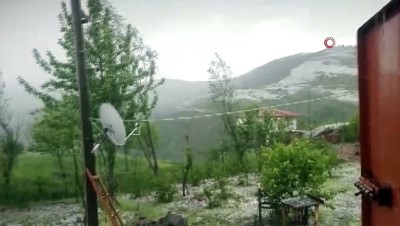 hava sicakliklari -  Ordu'nun yüksek kesimlerinde şiddetli dolu yağışı etkili oldu Videosu