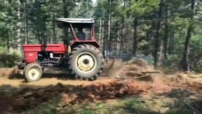 helikopter - Orman yangını kontrol altına alındı - UŞAK Videosu