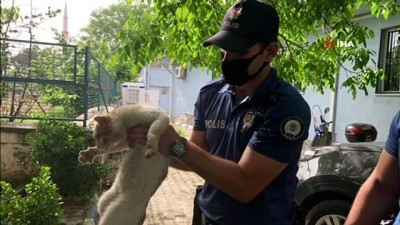 emniyet mudurlugu -  Yılan tarafından ısırılan kediye polis şefkati Videosu