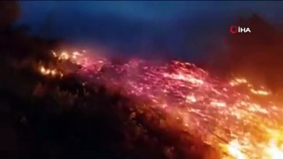  10 dönüm ormanlık alan böyle küle döndü