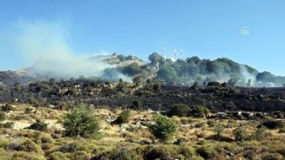 Bodrum'da makilik ve otluk alanda yangın (3) - MUĞLA