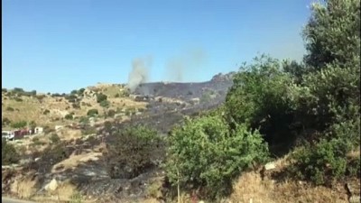 makilik alan - Bodrum'da makilik ve otluk alanda yangın - MUĞLA Videosu