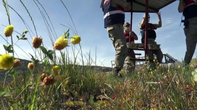 Jandarma sokak hayvanlarını unutmadı - DİYARBAKIR