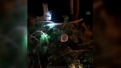 igde - Kahramanmaraş'ta oluşan hortum elektrik direği ve ağaçları devirdi Videosu