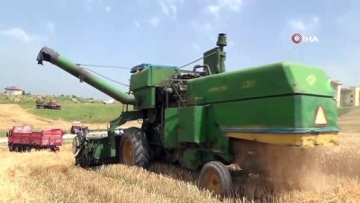 asad -  Osmaniye’de buğday hasadı başladı Videosu