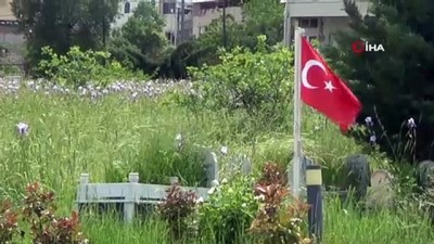 benin -  Siirt’te yılda 1 milyon turist ağırlayan türbe korona virüs nedeni ile sessizliğe büründü Videosu