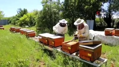  Vefalı eller arı bakımı yaptı
