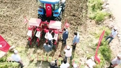 misir tohumu - Yerli ve milli mısır tohumu yeniden toprakla buluştu - BİLECİK Videosu