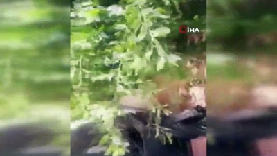 mayinli saldiri -  - Hafter milislerinden mayınlı saldırı: 2 ölü Videosu