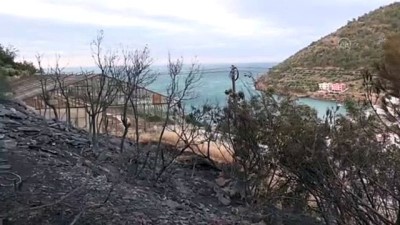 gesi - Mersin'de orman yangını kontrol altına alındı (3) Videosu
