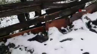 kar surprizi -  Trabzon'da kar yağışı Videosu
