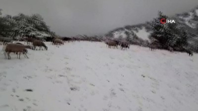  Tunceli'de  kar sürprizi